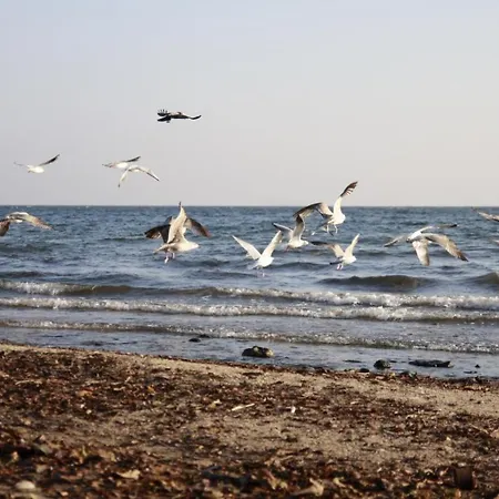 Luksusowy W Sopocie Διαμέρισμα Σόποτ